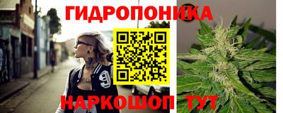 a pvp Пенза
